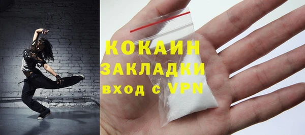 гидра Горняк