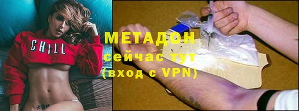 гидра Горняк