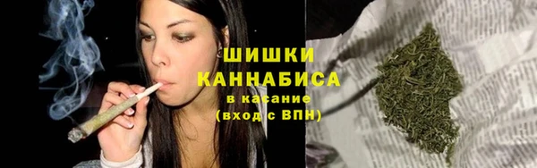 твердый Горнозаводск