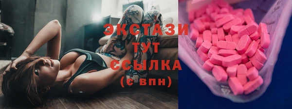гидра Горняк