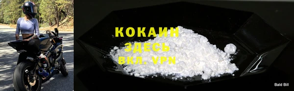 гидра Горняк