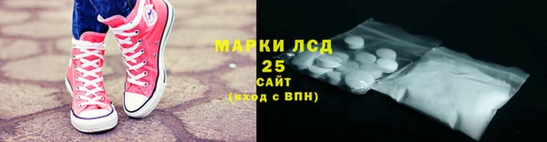 гидра Горняк
