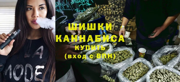 гидра Горняк