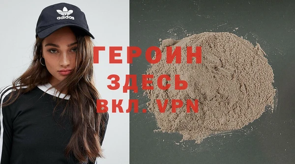 гидра Горняк