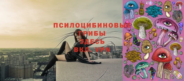 твердый Горнозаводск