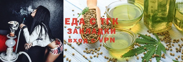 гидра Горняк