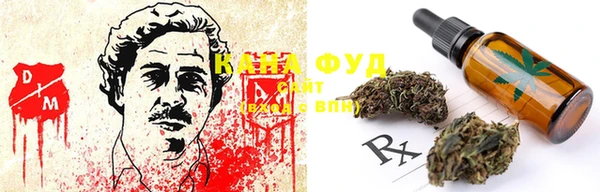 гидра Горняк