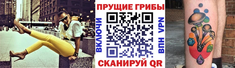 Псилоцибиновые грибы GOLDEN TEACHER  Купить закладки  Избербаш 